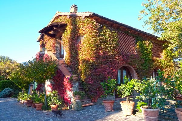 Villa with vineyards for sale in Chianti near Greve