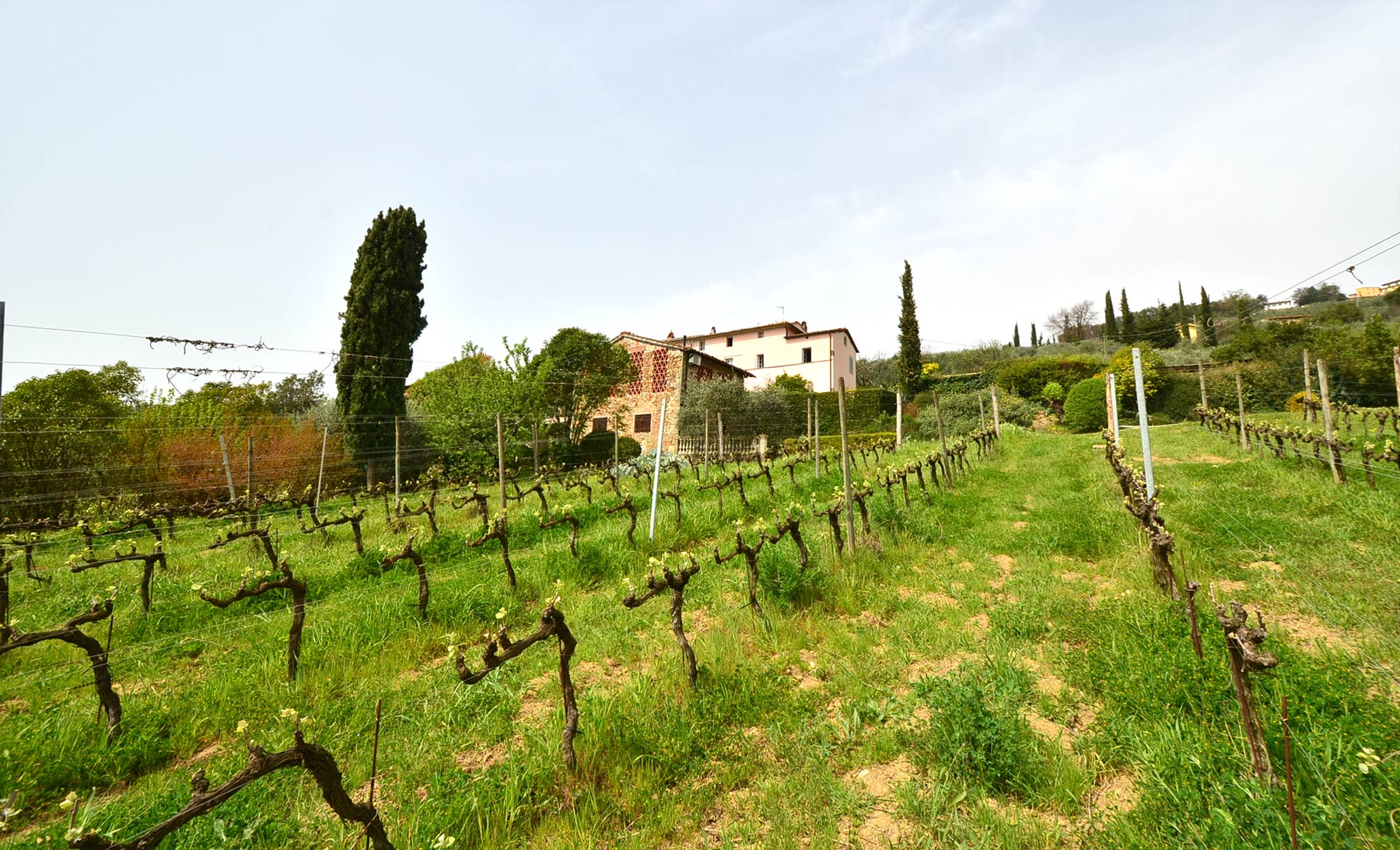 Countryhouseandwineryforsaleintuscany26 Precious Villas